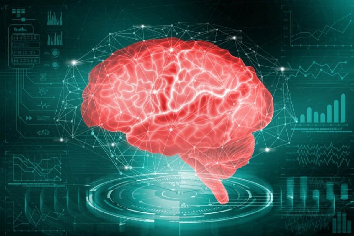 11 İzlanda 101<br>12 Finlandiya 101<br>13 Kanada 101<br>14 Belçika 100<br>15 Almanya 100<br>16 Birleşik Krallık 100<br>17 Avusturya 100<br>18 Yeni Zelanda 100<br>19 Norveç 99<br>20 İsveç 99<br><br>