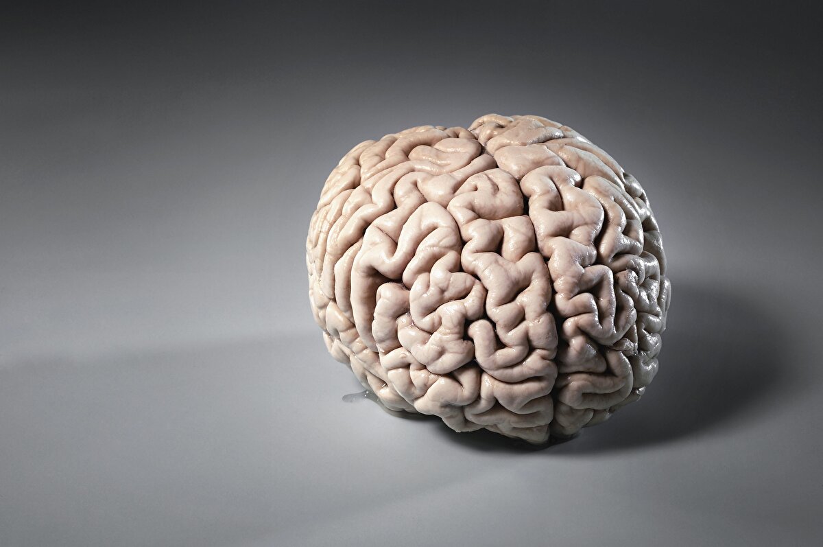 51 Şili 89<br>52 Kamboçya 88<br>53 Bermuda 88<br>54 Brunei 88<br>55 Mauritius 87<br>56 Kosta Rika 86<br>57 Filipinler 86<br>58 Meksika 86<br>59 Irak 86<br>60 Venezuela 85