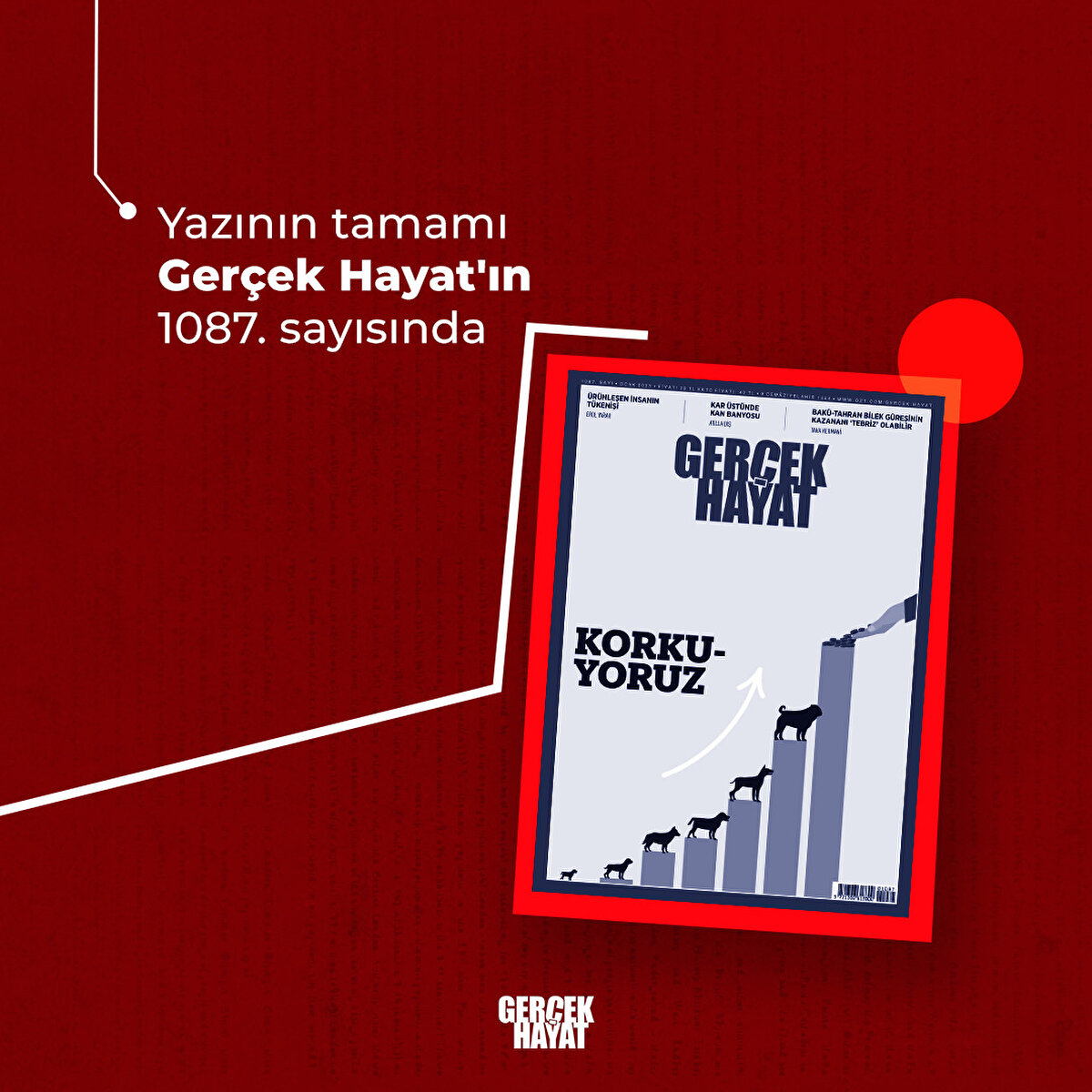 Yazının tamamı Gerçek Hayat'ın 1087. sayısında