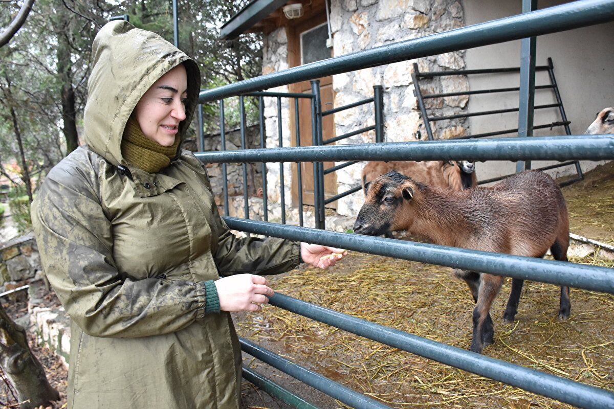 Kayhan, göl manzaralı çiftliğe gelenlerin bölgede daha çok vakit geçirmek istemeleri üzerine çiftlikte kullanılmayan bina ve alanları otele dönüştürmek için proje hazırladı. Tarım ve Kırsal Kalkınmayı Destekleme Kurumundan (TKDK) destek alan Kayhan, yaklaşık 30 misafiri aynı anda ağırlayabileceği butik oteli de birkaç ay sonra hizmete açmayı planlıyor.<br><br>