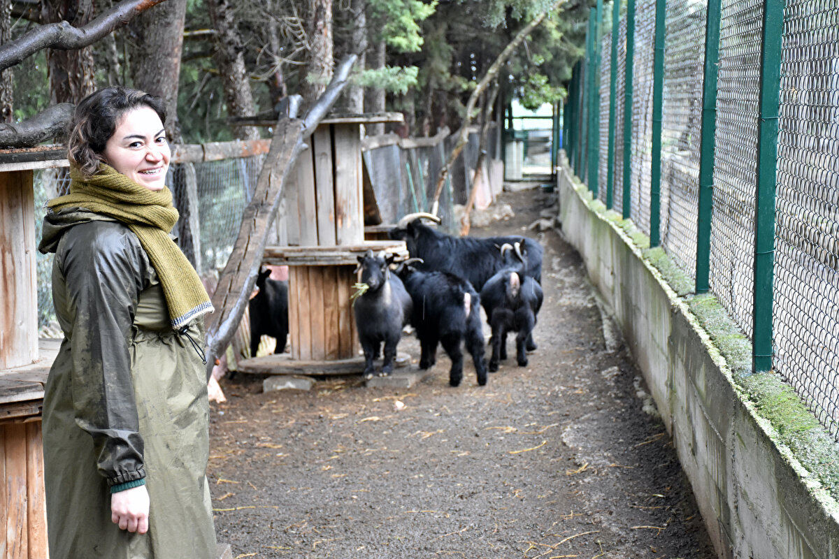 Çiftlikte en büyük emeğin babasına ait olduğunu belirten Kayhan, "Elimizde güzel bir cevher var ama onu işlemek gerekiyordu. Kahvaltı olarak başladık ama daha sürdürülebilir bir işletme olması için konaklama hizmeti de vermeyi düşünüyoruz. Bunun için TKDK'den kırsal turizm hibesi alıyoruz. Otel inşaatı ve ekipmanları da tamamlanacak. O zaman şehir dışından gelen misafirlerimiz de burada konaklayabilecek." dedi.<br><br>
