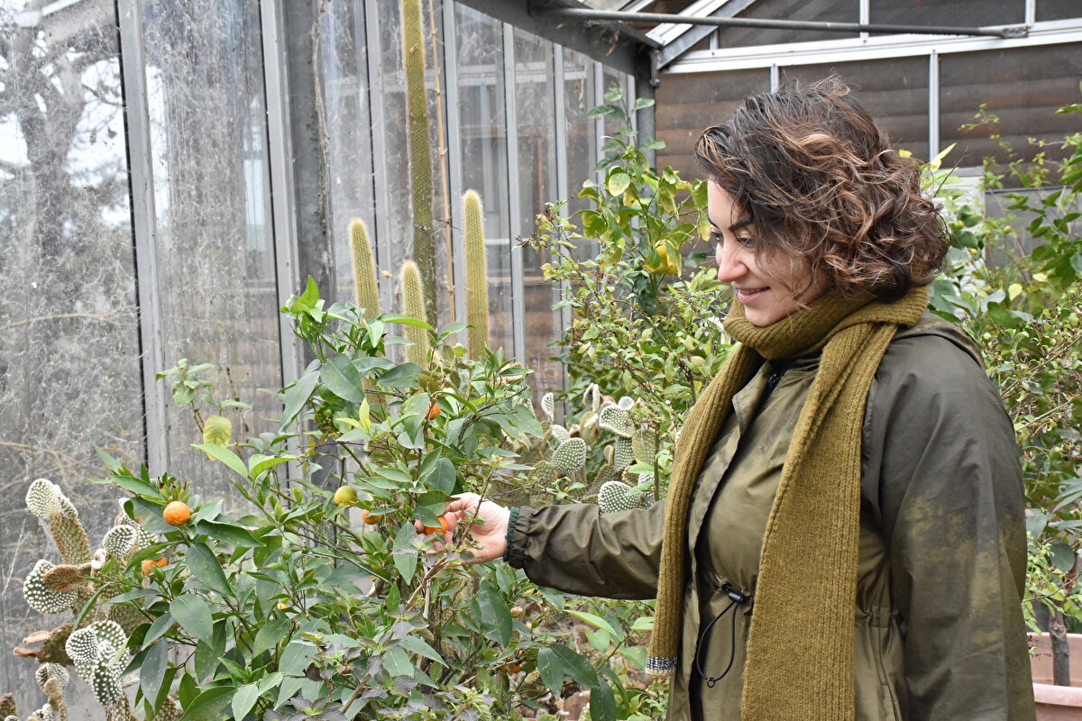 Toplumsal hareketleri önemsediğini vurgulayan Kayhan, şöyle devam etti:<br><br>"O çerçevede de hep çevreci toplumsal hareketleri, ekoturizm girişimlerini çalıştım hatta antropoloji alanında yaptığım yüksek lisans tezinin de konusu bizim köydeki leylek şenliği. Japonya'da da yine çevre hareketlerine baktım. Burası düşünsel hayatta biriktirdiklerimi şimdi eylem sahasında bir yeniden düşünme fırsatı benim için. Ekoturizm üzerine daha fazla kafa yorup bir yandan da uygulayabileceğim. Burada gerçek ve dolaysız gıdayı üretmek acaba finansal olarak sürdürülebilir bir şey mi? Yani bu benim için bir yandan da sosyolojik bir deney. O yüzden kendimi şimdi hem eve dönmüş hissediyorum, gerçekten aile anlamında eve dönüş hem de üzerine düşündüklerimi bir yerde deneyebileceğim yani yerleşebileceğim bir yere dönmüş hissediyorum çünkü başka yerlerde vakit geçirirken aslında orada yer edinemedim."