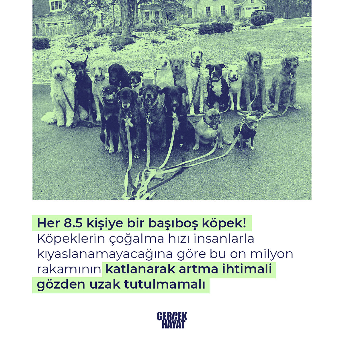 Bu on milyon rakamının katlanarak artma ihtimali gözden uzak tutulmamalı