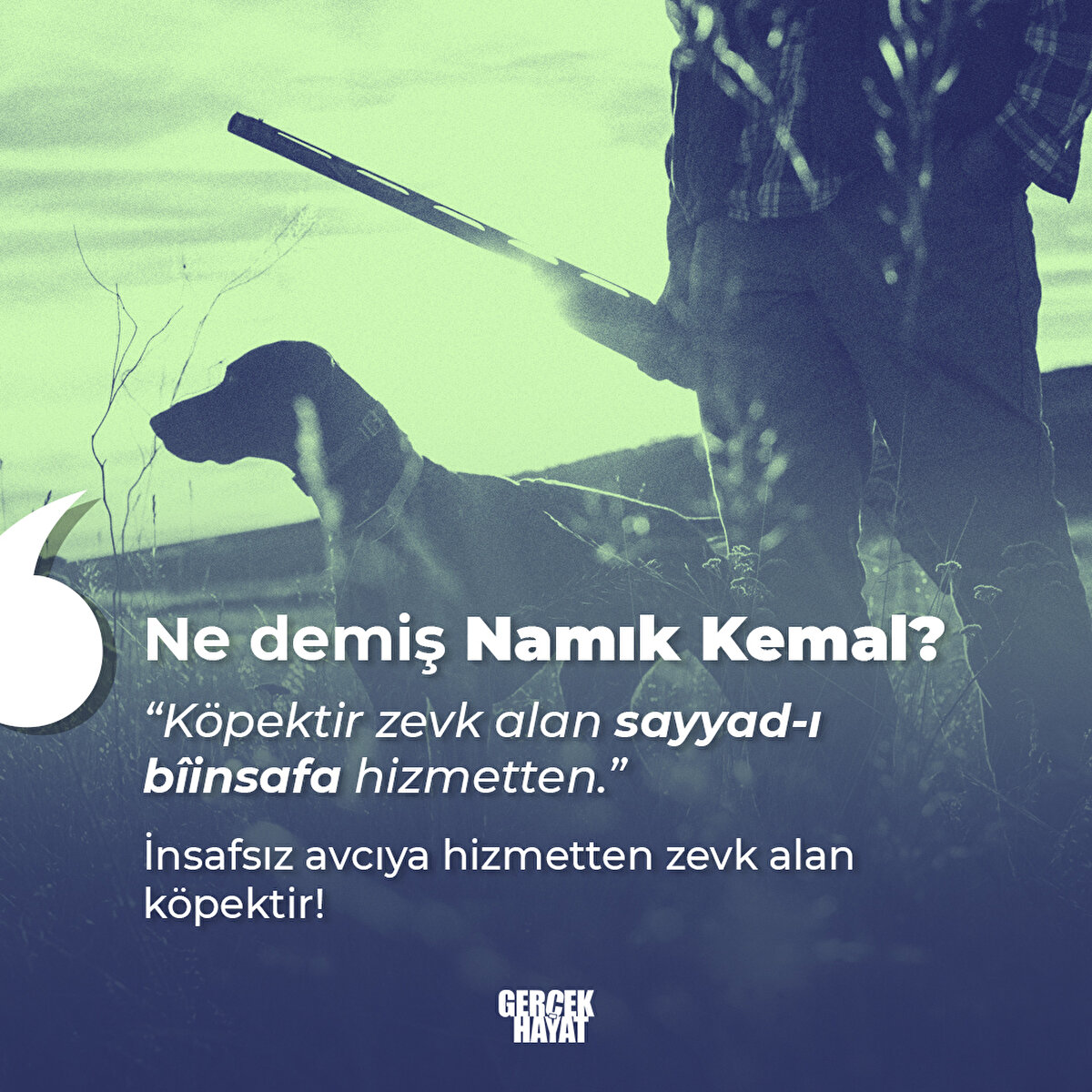 On milyon da sahipsiz köpeğimiz varmış!