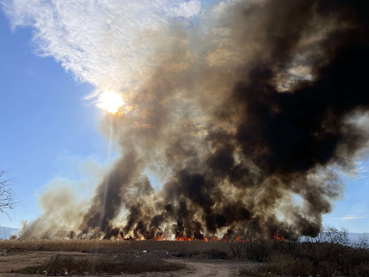 Yangının daha fazla alana yayılmaması için tedbir alan ekipler, alevleri kontrol altına almaya çalışıyor.<br><br>