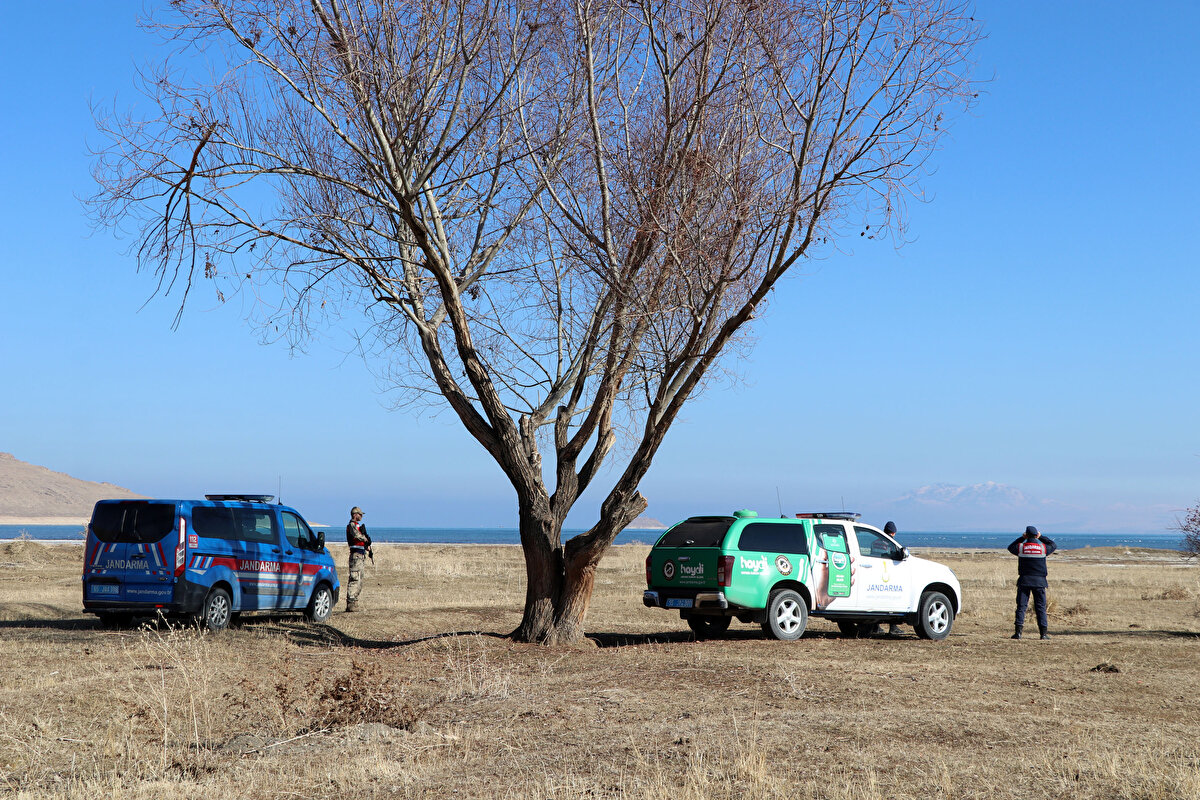 Yiğit, "Van Gölü Havzası'ndaki bu alana, 'kuş cenneti' diyorlar. Burada birçok kuş türü yaşıyor. Jandarma Komutanlığı Çevre Doğa ve Hayvanları Koruma ve Jandarma Asayiş timleri, Van Doğa Koruma ve Milli Parklar Müdürlüğü ekipleri bu kuşları burada koruyor. Bu uygulamadan çok memnunuz. Buraya avcıların girmesi yasak. Ekipler buna izin vermiyor. Rusya'dan gelen kuğular, ilkbahar mevsiminde de Japonya'ya göç ediyor." dedi.<br><br>