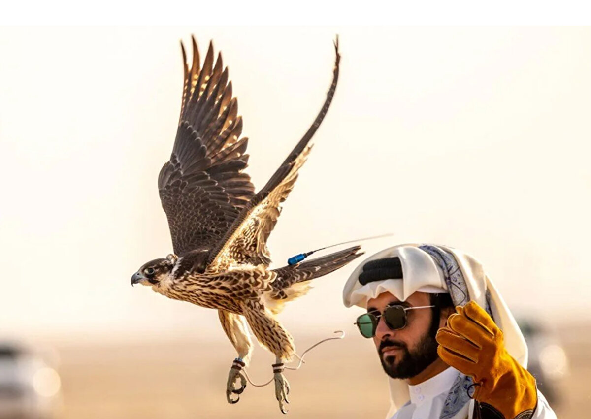 Katar'da her yıl ocak ayında gerçekleştirilen bu festival, özellikle Körfez halkı için yılın en önemli etkinliklerinden biri kabul ediliyor ve bu mirası yaşatıp gelecek nesillere aktarmak amaçlanıyor. Katar'ın yanı sıra Körfez ülkelerinden büyük bir takipçi kitlesine sahip festival aracılığıyla bu önemli mirasın korunması ve gelecek nesillere aktarılması hedefleniyor.