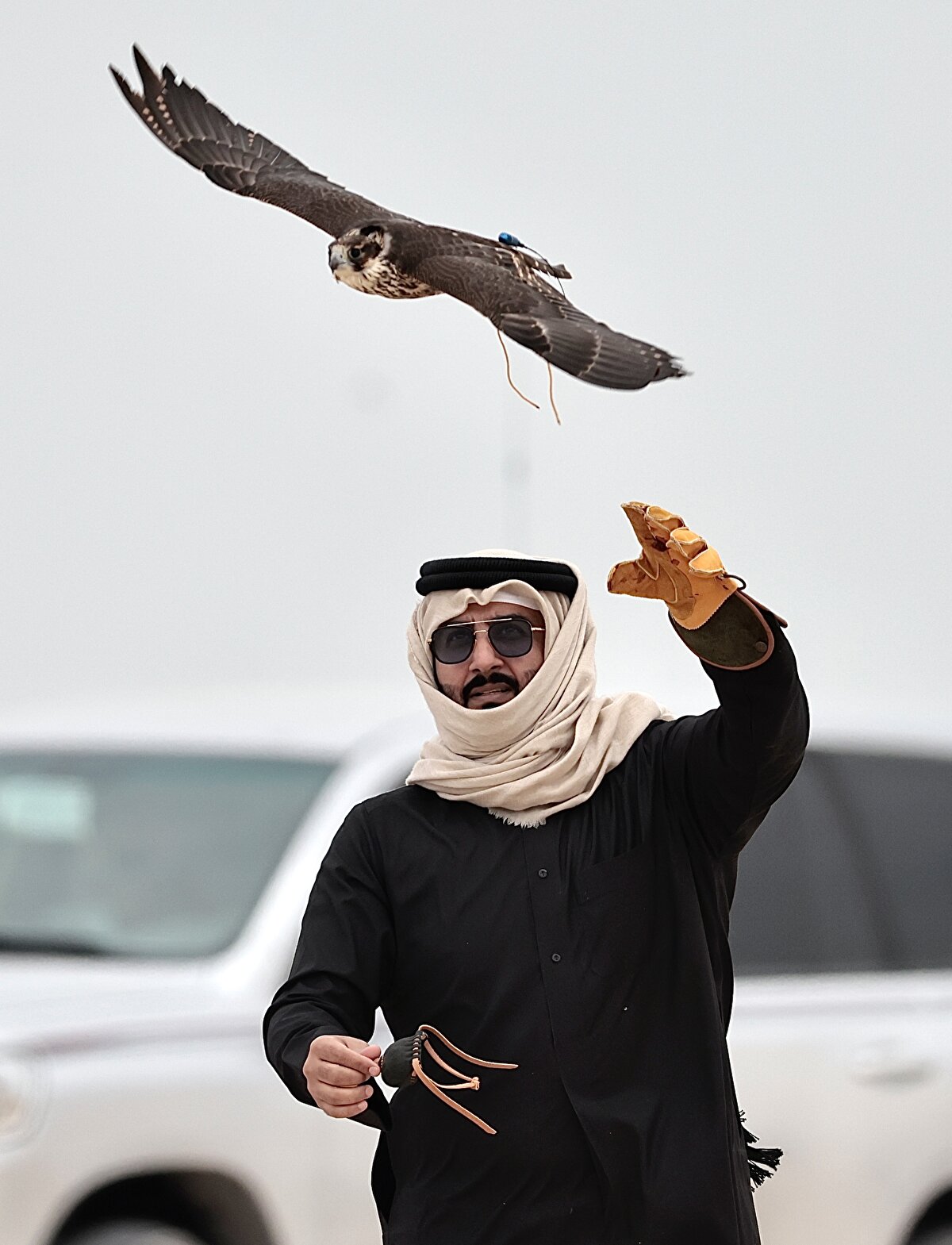 Uluslararası nitelikteki festival, dünyanın dört bir yanından gelen şahinlere ve sahiplerine açık. Ancak festivalde, önceki senelerde olduğu gibi bu sene de ağırlıklı olarak Suudi Arabistan, Kuveyt ve Birleşik Arap Emirlikleri'nden gelen şahinler yer alıyor.