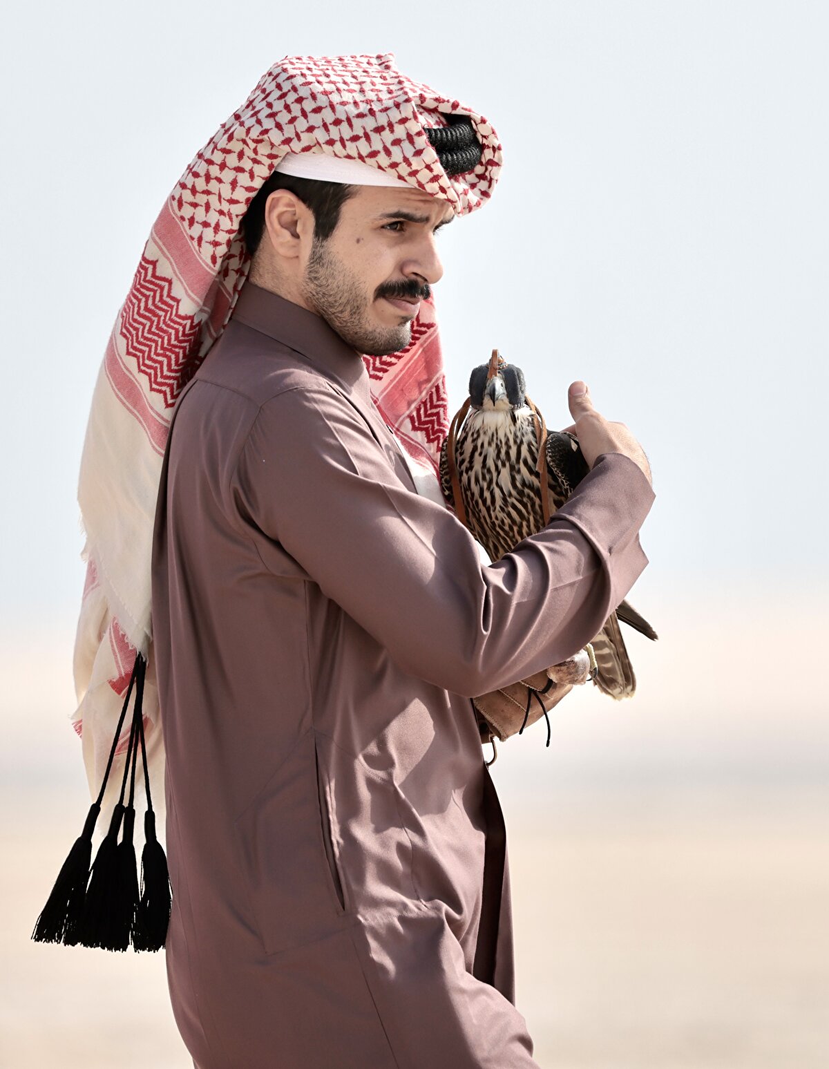 Katar kültüründe önemli bir yere sahip olan şahin yetiştiriciliği, ülkede bir meslek veya hobi olarak önemini koruyor. Körfez ülkelerinde özelikle Katar'da "milli simge" haline gelen şahin ve doğanlar, sadece festivallerde değil birçok etkinlikte yerlerini alıyor.