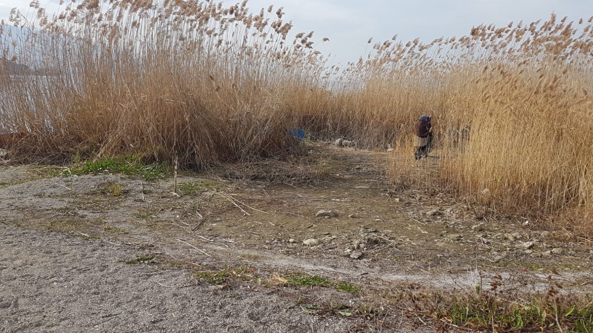 Sakarya Büyükşehir Belediyesi Su ve Kanalizasyon İdaresi (SASKİ) verilerine göre; gölün su seviyesi 30,95 metre oldu.