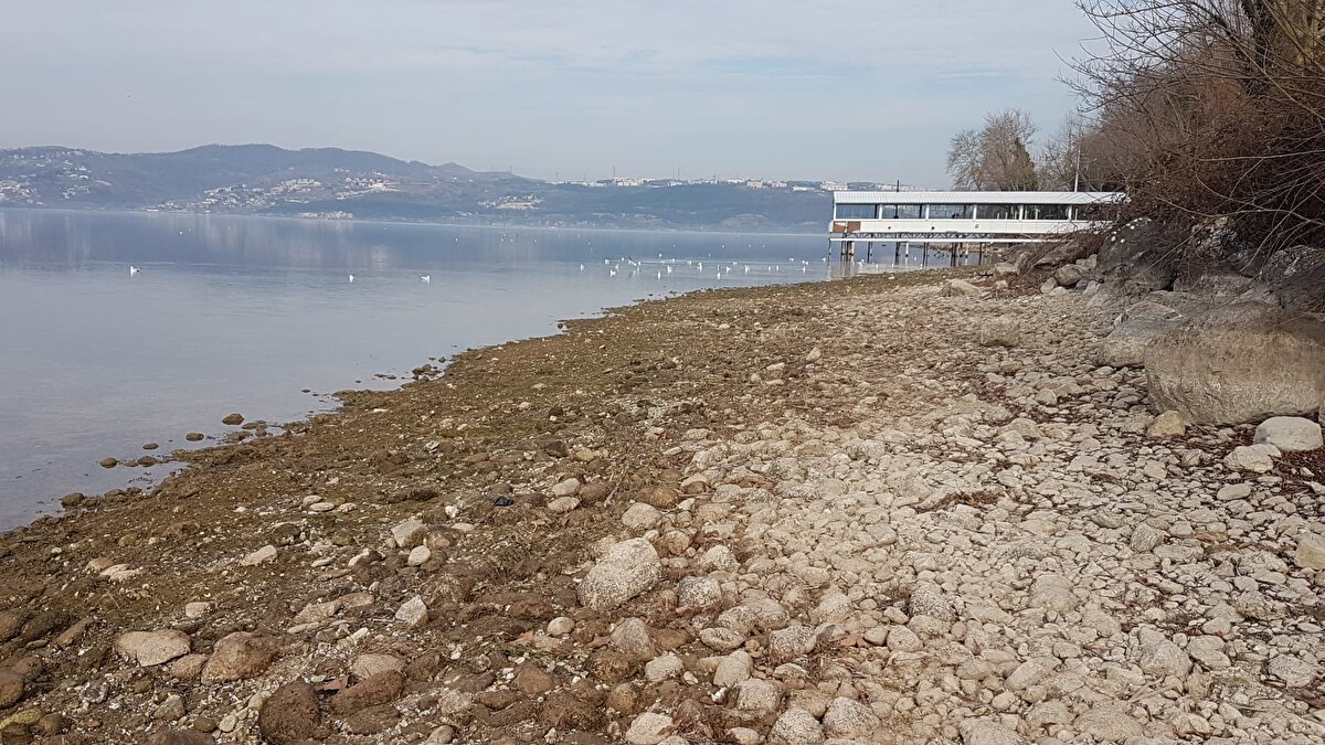 Bazı kayıklar karaya otururken, sazlık alanların da dibi görüldü. Uzunkum sahili olarak bilinen bölgede ise su 30 metre geri çekildi.