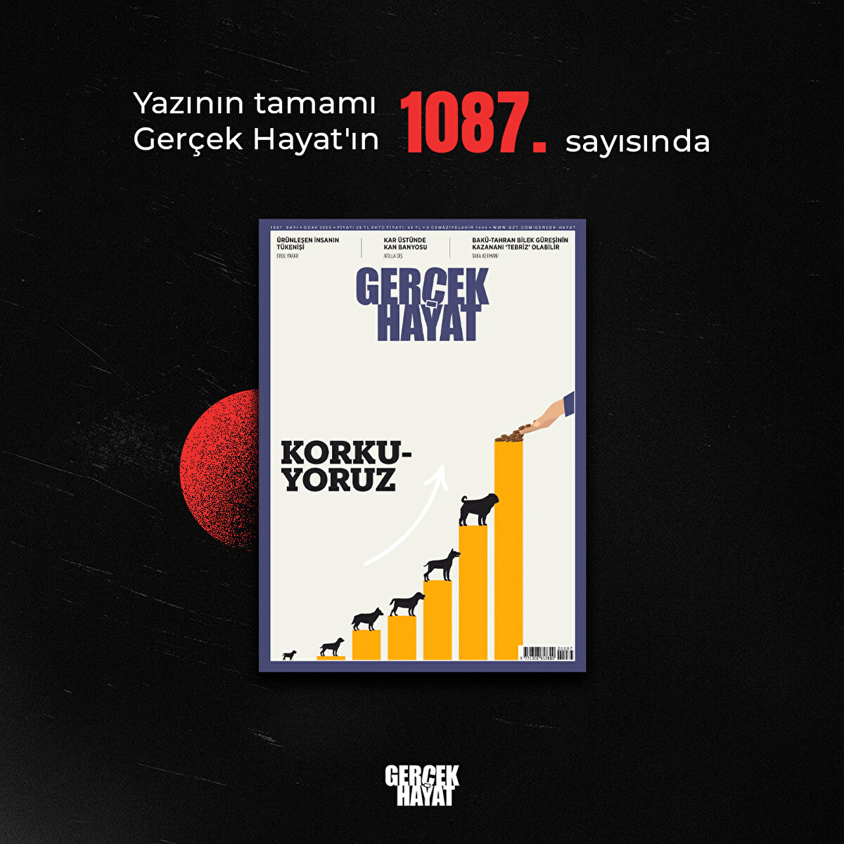 Yazının tamamı Ger&#231;ek Hayat'ın 1087. sayısında
