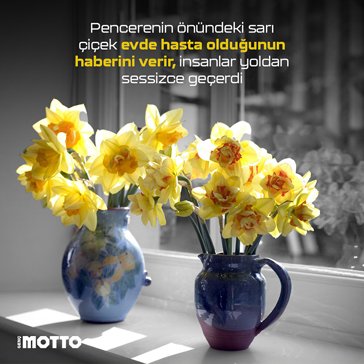 Pencerenin önündeki sarı çiçek evde hasta olduğunun haberini verir, insanlar yoldan sessizce geçerdi