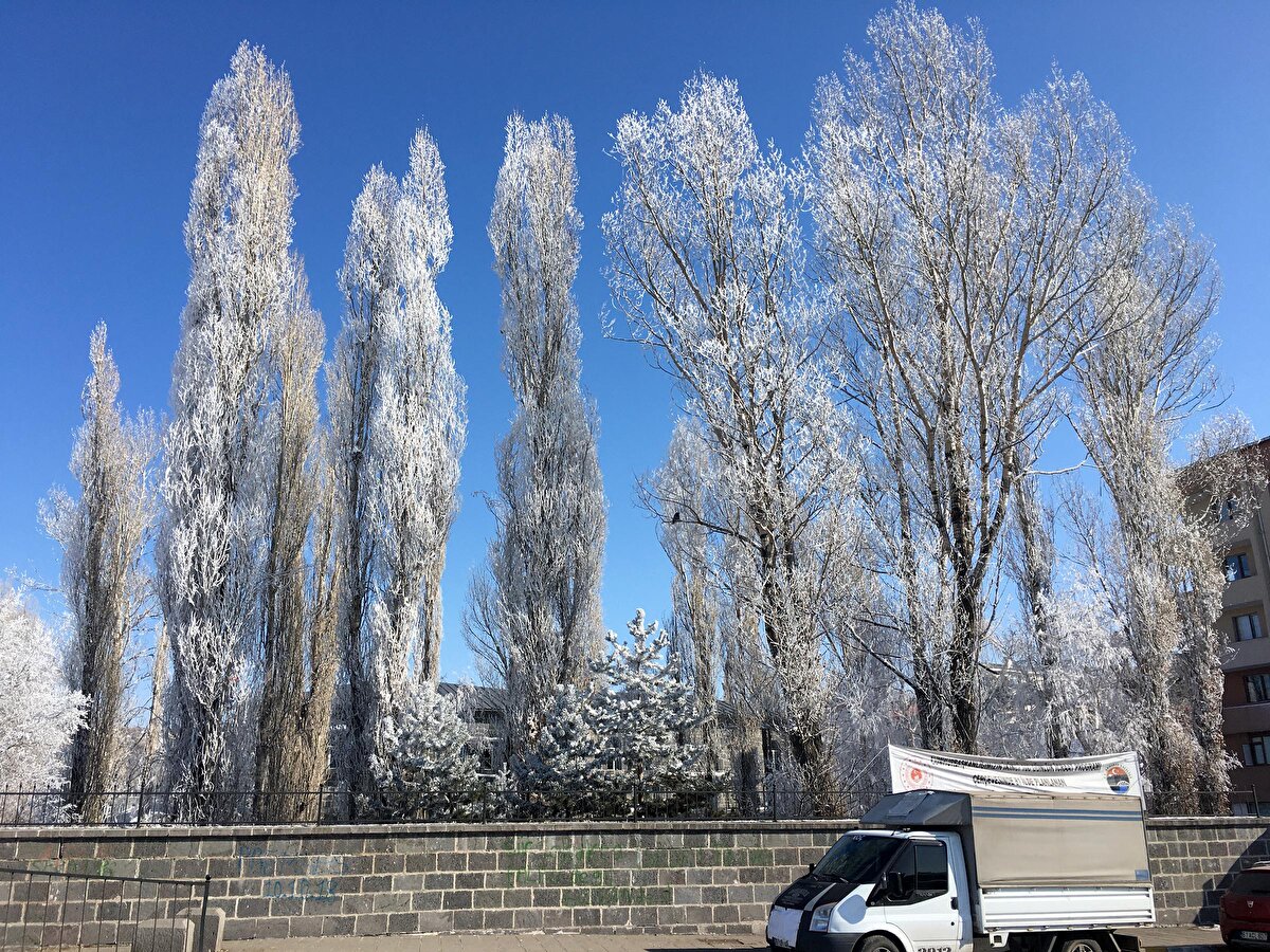 Ardahan'ın diğer ilçelerinde ölçülen en düşük sıcaklıklar ise Göle'de eksi 28, Çıldır'da eksi 21,8, Hanak'ta eksi 20,2, Damal'da eksi 18, Posof'ta eksi 14,3 derece oldu.
