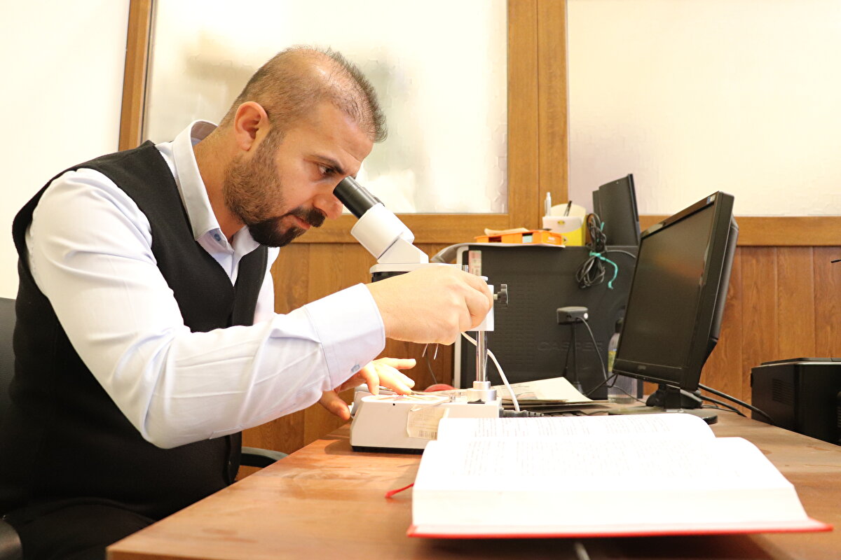 Ekip, çalışmada Pervari ilçesine bağlı Kovanağzı köyü kırsalında daha önce görmedikleri kılıç otu türüne rastladı.<br><br>Bitki türünden örnekler alan akademisyenler, yaklaşık 3 yıl süren detaylı araştırma yaptı. Araştırma sonucu Latince kurallarına uygun şekilde "gladiolus siirtensis" adı verilen bitki türü, Phytotaxa dergisinde yayımlandı.<br>