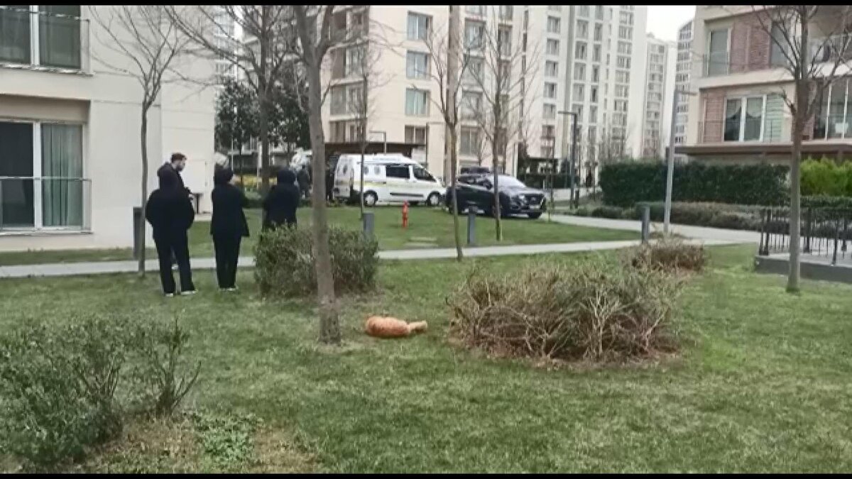 Sancaktepe'de bir sitedeki dairede 3 çocuk ile babaları ölü bulundu. Mehmet A.'nın eşinin evi terk etmesi üzerine 3 çocuğunu asarak intihar ettiği iddia ediliyor. 