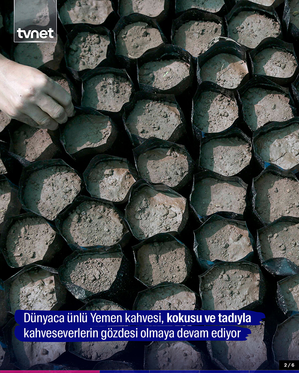 Dünyaca ünlü Yemen kahvesi, kokusu ve tadıyla kahveseverlerin gözdesi olmaya devam ediyor