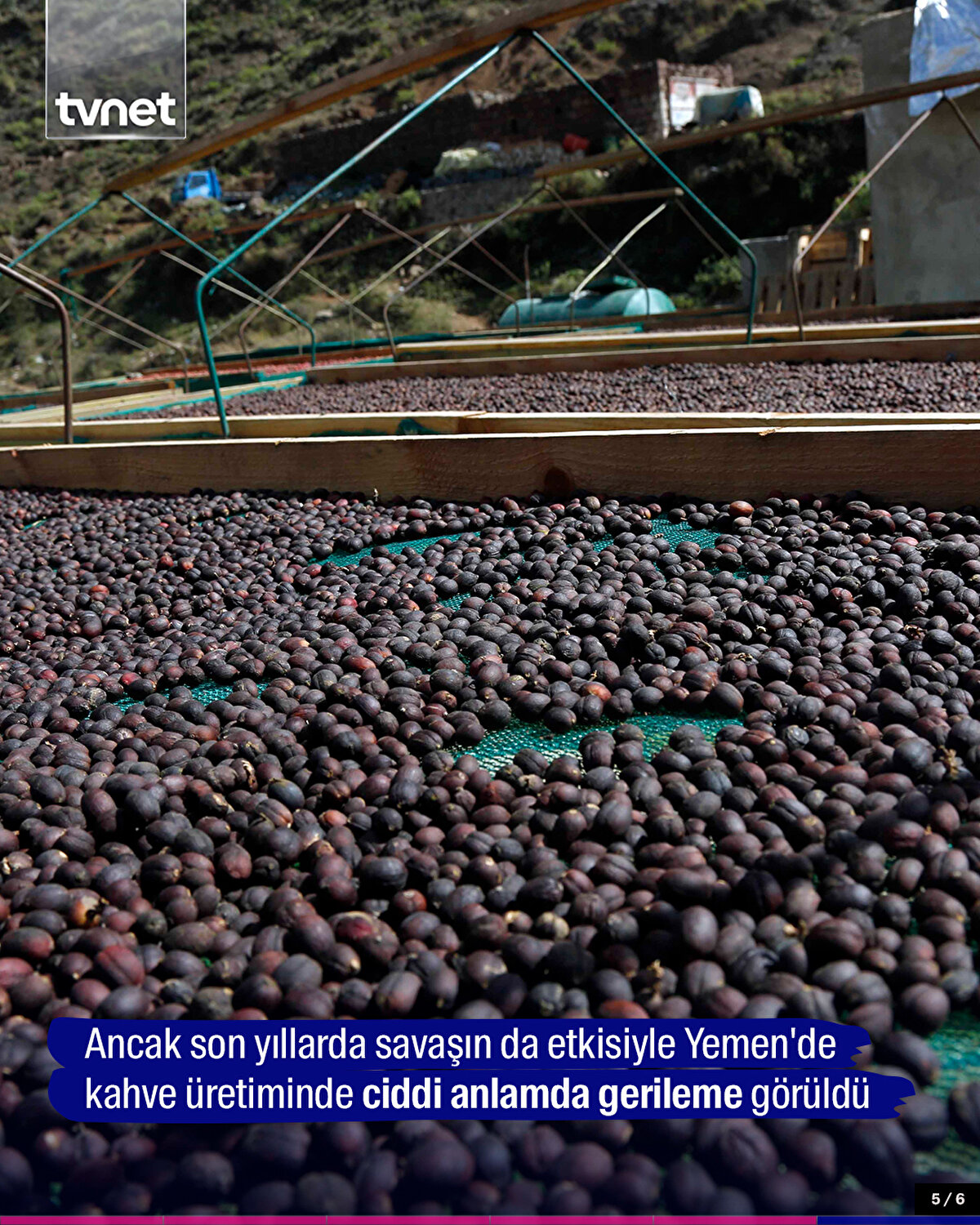 Ancak son yıllarda savaşın da etkisiyle Yemen'de kahve üretiminde ciddi anlamda gerileme görüldü