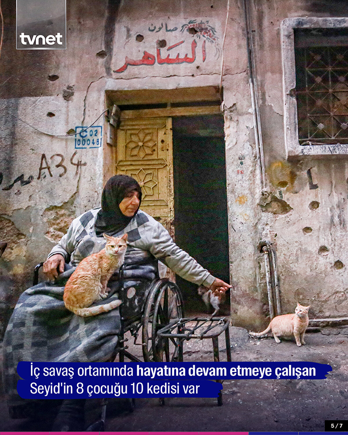 İç savaş ortamında hayatına devam etmeye çalışan Seyid'in 8 çocuğu 10 kedisi var