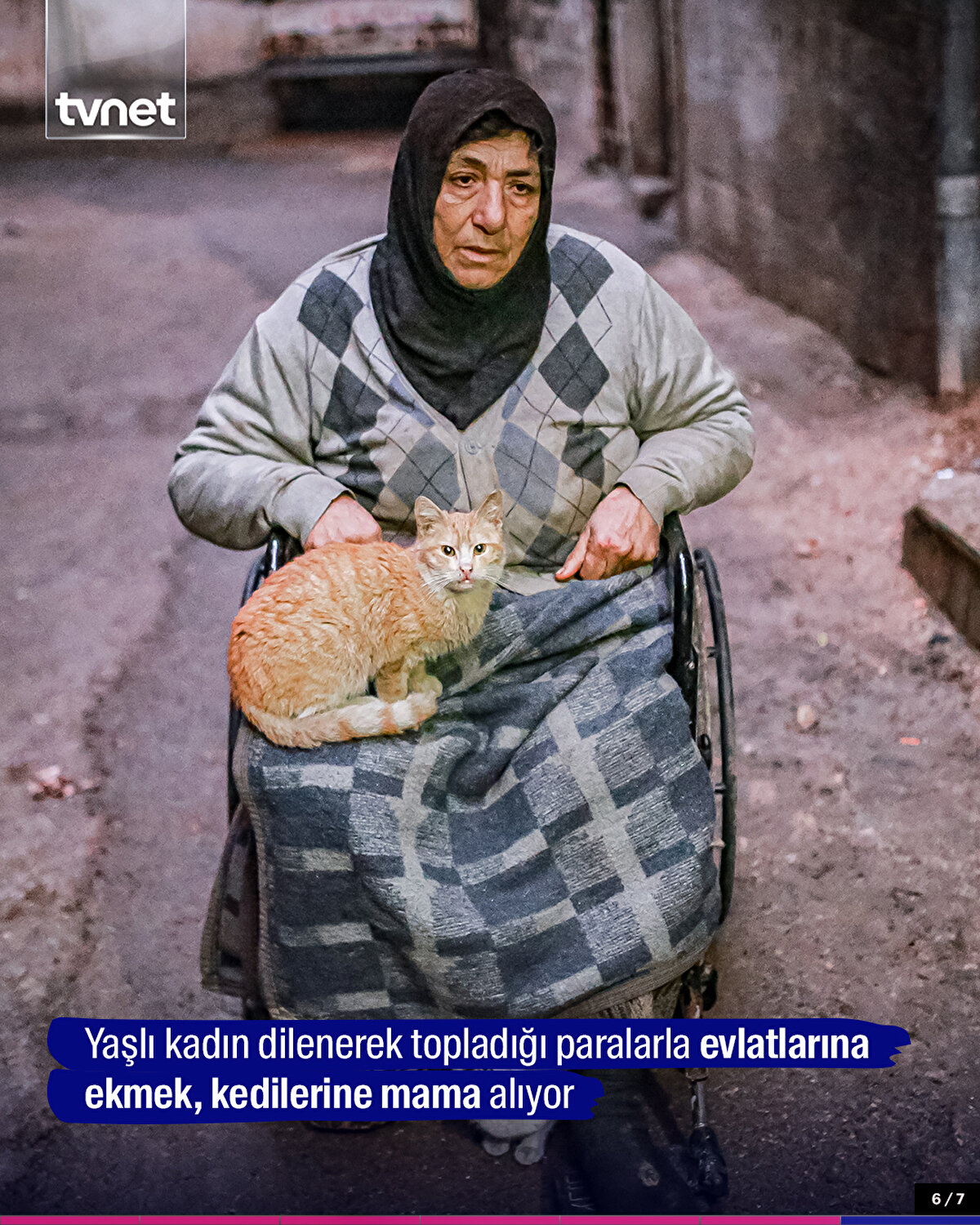 Yaşlı kadın dilenerek topladığı paralarla evlatlarına ekmek, kedilerine mama alıyor