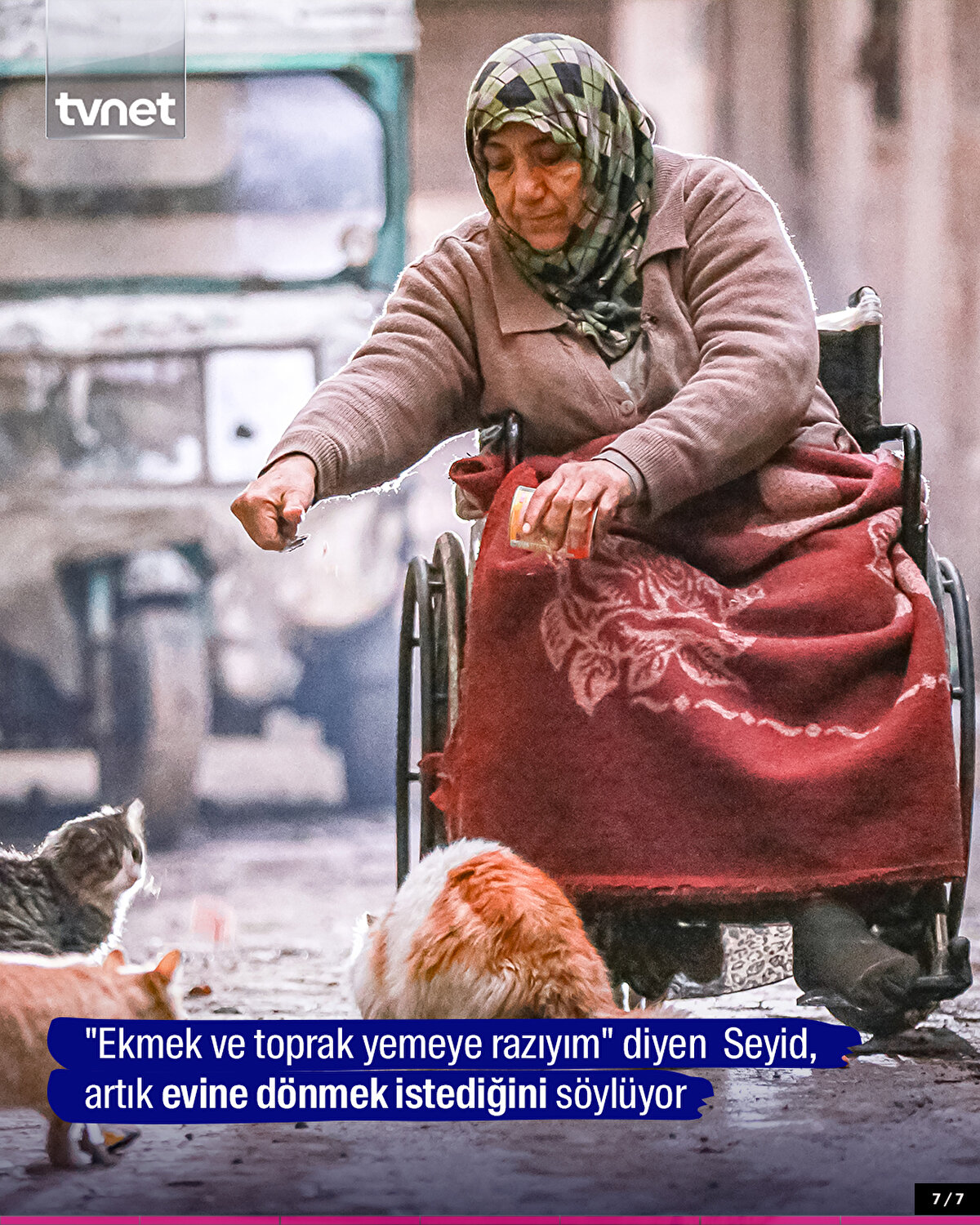 "Ekmek ve toprak yemeye razıyım" diyen  Seyid, artık evine dönmek istediğini söylüyor