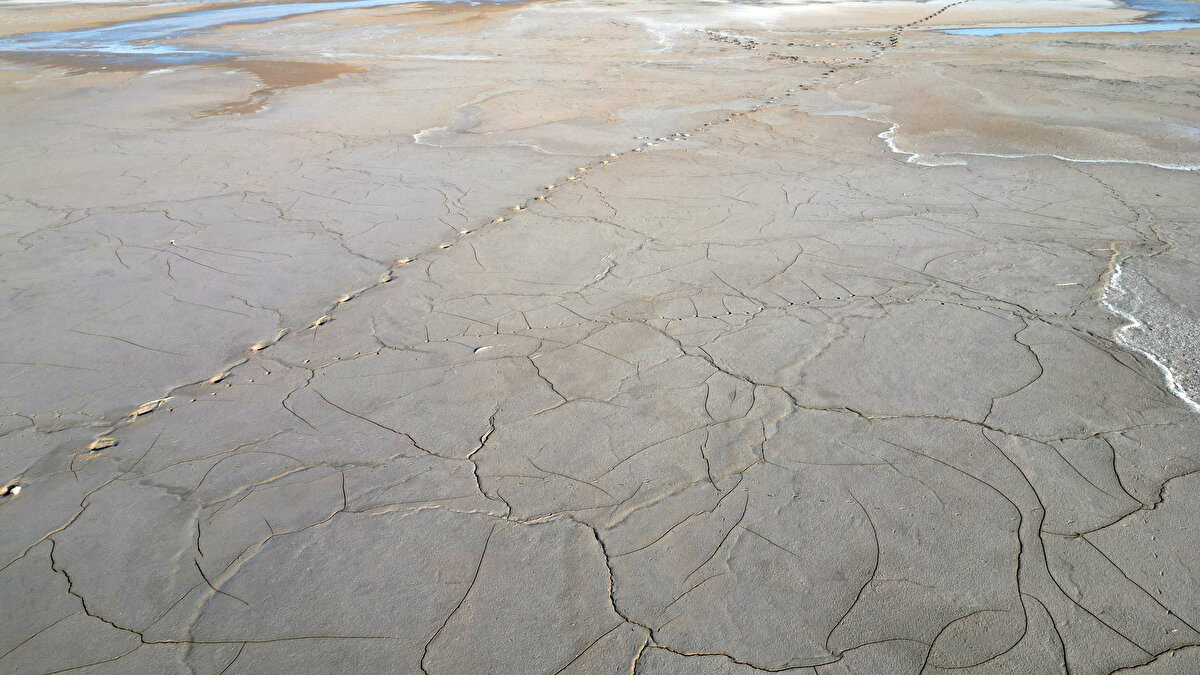 Elhatip, Türkiye'nin küresel ısınma ve kuraklıkla birlikte su kaynakları kıtlığı yaşanan ülkeler arasına girebileceğine dikkati çekti.<br><br>