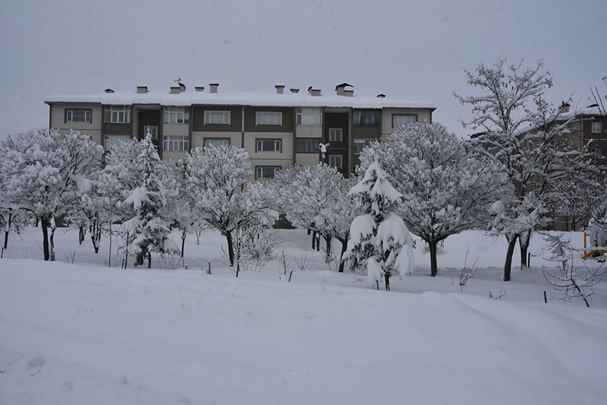 Türkiye'nin en fazla kar yağışı alan kentlerinden Bitlis'te kar yağışı, 27 Ocak'ta başlayıp, aralıklarla etkili oldu. 