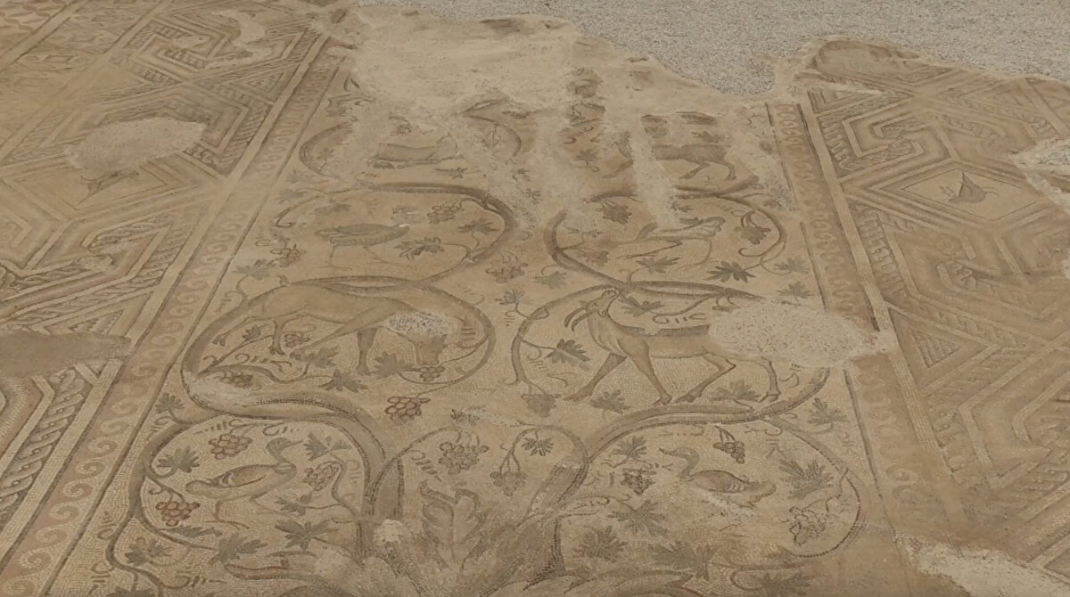 Alkan, mozaiklerin yerinde görülebildiğini belirterek, "Kazı çalışmalarımız kış şartları nedeniyle şu an sona erdi. Gelecek yıl verilecek bütçelerle yeniden devam edecek. Ziyaretçilerimizi bu eşsiz güzellikleri görmeye davet ediyoruz" dedi.