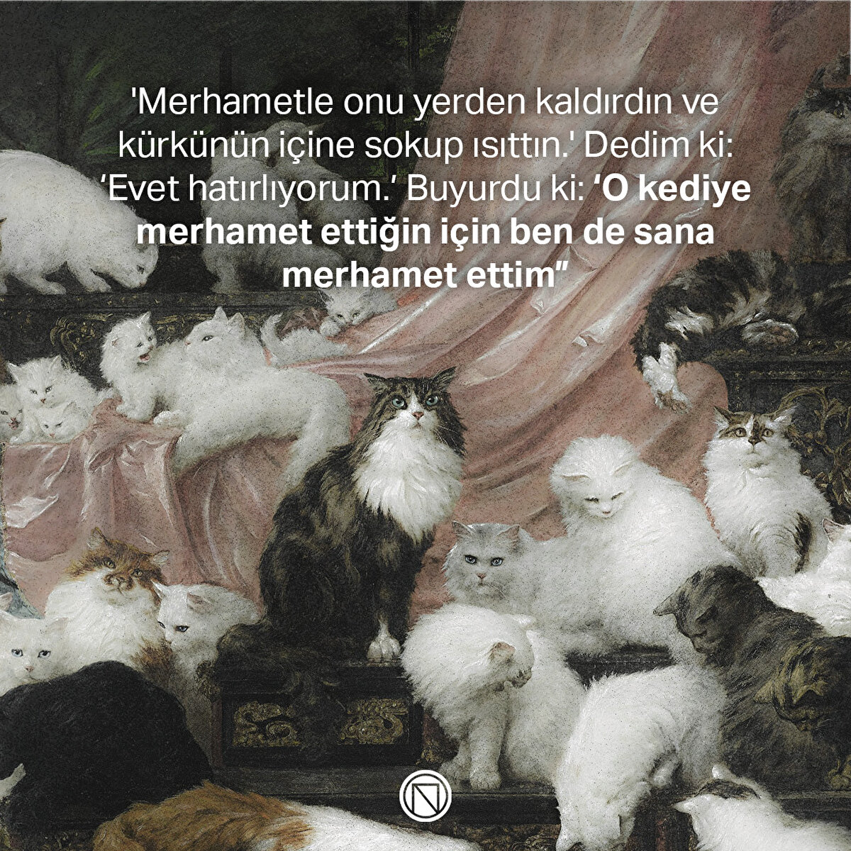 'Merhametle onu yerden kaldırdın ve kürkünün içine sokup ısıttın.' Dedim ki: ‘Evet hatırlıyorum.’ Buyurdu ki: ‘O kediye merhamet ettiğin için ben de sana merhamet ettim”
