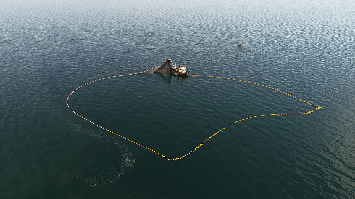 'ETKİSİNİ TAKİPTEYİZ'<br>Deniz suyu sıcaklıklarının değişmesi sonucu Karadeniz ekosistemine başka canlıların da girebileceğini anlatan Prof. Dr. Aydın, "Karadeniz ısınıyor. Her geçen gün biraz daha fazla su sıcaklığı artmaya başladı. Son yıllarda küresel ısınma, iklim değişikliği ya da mevsimlerin değişmesiyle ilgili bir sürü konu konuşuluyor.