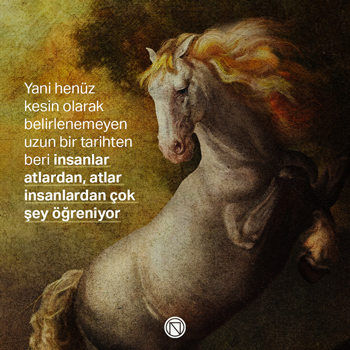 Yani henüz kesin olarak belirlenemeyen uzun bir tarihten beri insanlar atlardan, atlar insanlardan çok şey öğreniyor
