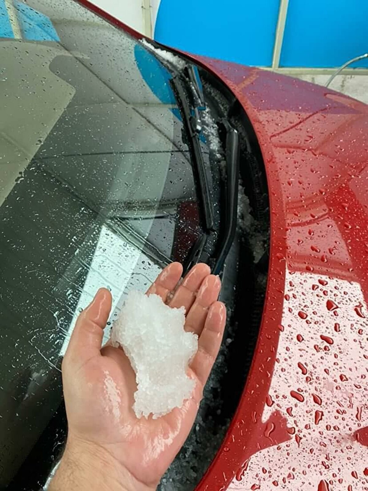 Meteoroloji 4'üncü Bölge Müdürlüğü Muğla ve çevresi için sağanak uyarısı yaptı. Bodrum'da öğle saatlerinden itibaren kuvvetli sağanak etkili oldu.