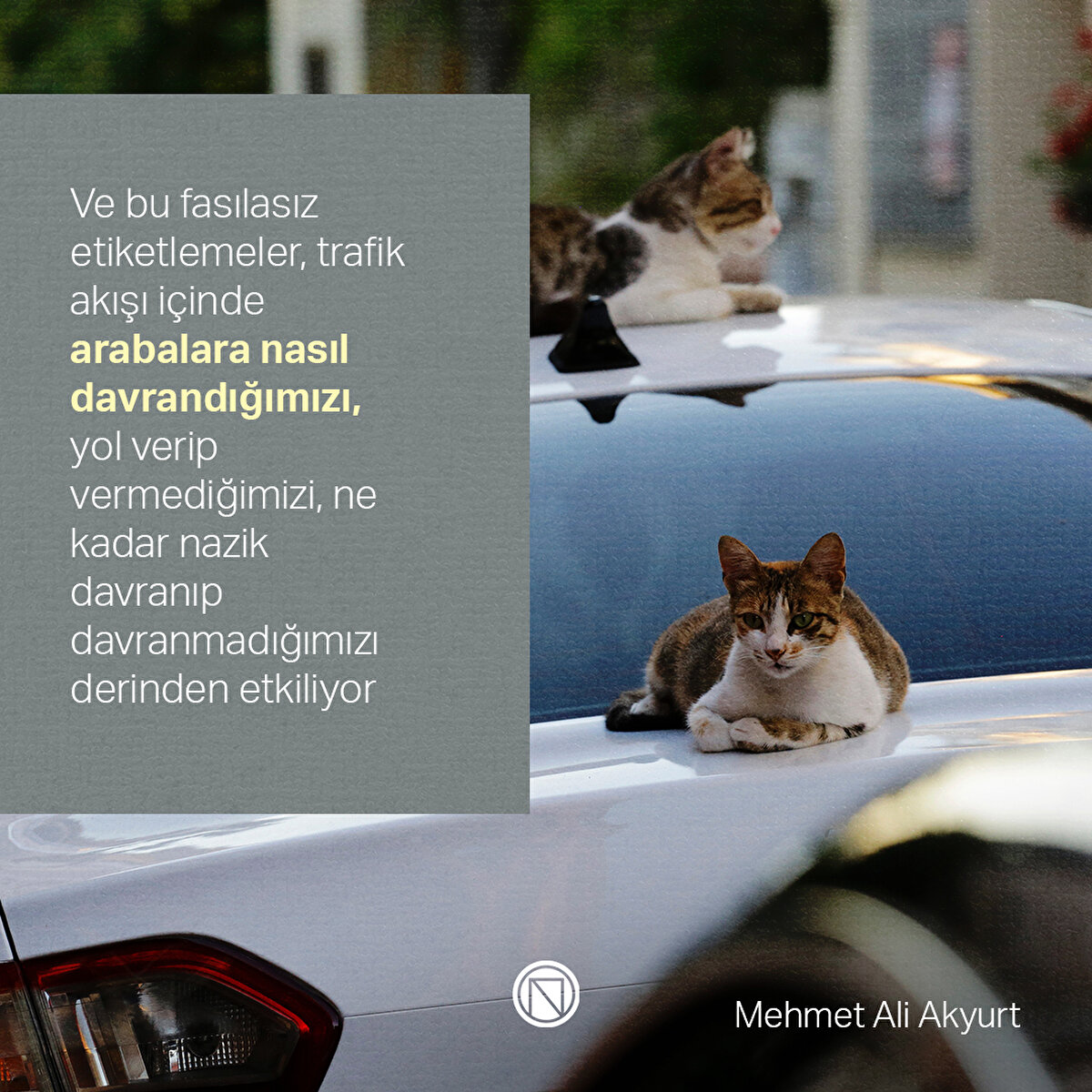 Ve bu fasılasız etiketlemeler, trafik akışı içinde arabalara nasıl davrandığımızı, yol verip vermediğimizi, ne kadar nazik davranıp davranmadığımızı derinden etkiliyor