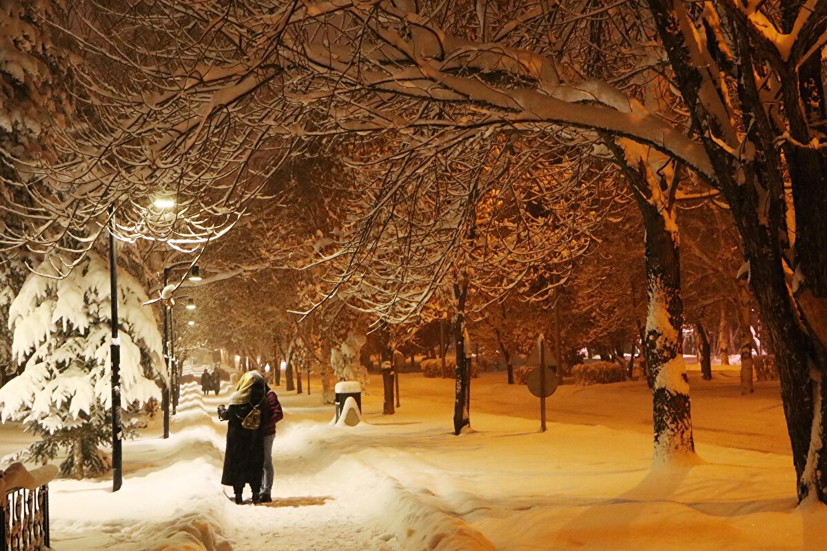 Doğu Anadolu Bölgesi'nde önceki gün başlayan kar yağışı, dün akşam saatlerine kadar etkili oldu.