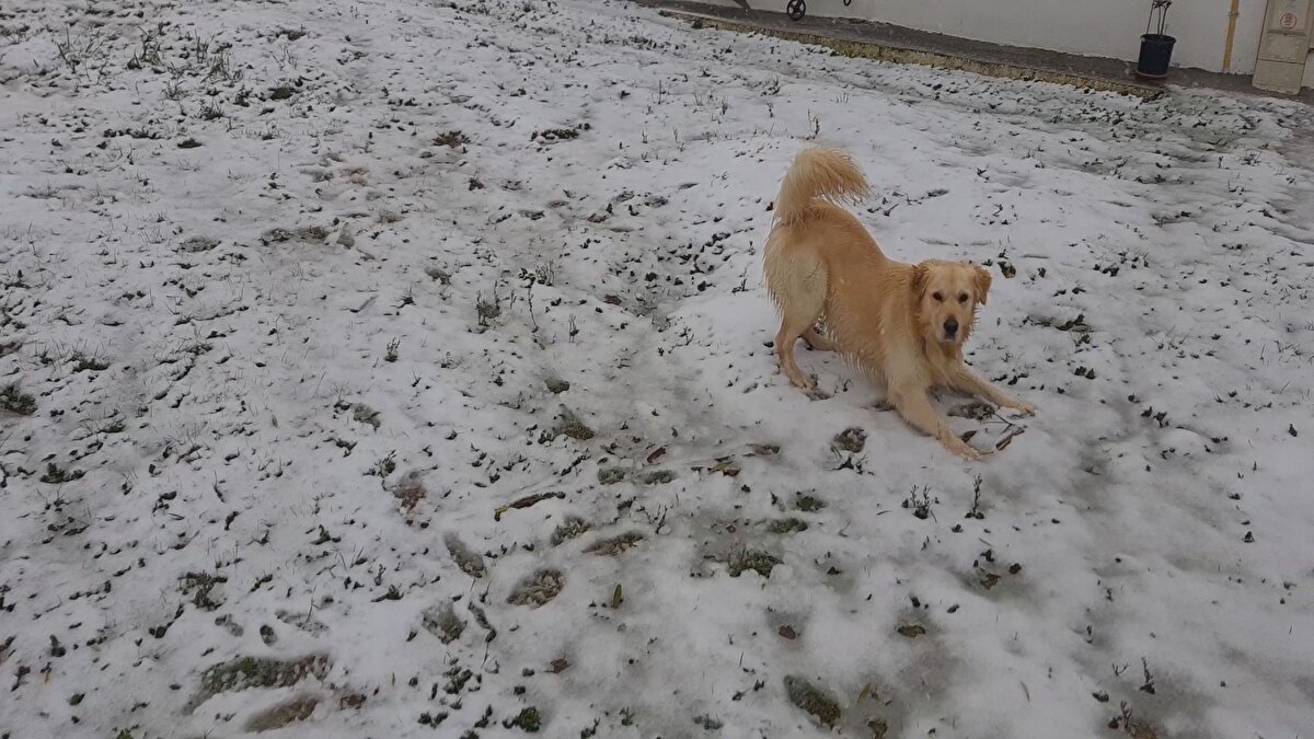 11 BİN 130 PERSONEL GÖREV YAPACAK<br>İstanbul Valiliği beklenen kar yağışı ile ilgili tedbirleri açıkladı.<br><br>Açıklamada, "11 bin 130 personel, 171 acil çıkış noktası ve 23 otoyol hizmet tesisi (OHT), 57 iş makinesi noktasında 2 bin 591 İş Makinası, 101 Noktada 475,400 ton tuz, 3 bin 640 ton solüsyon kapasitesi ile kar ve buzlanma ile mücadele çalışmalarına hazır durumda bulunmaktadır" denildi.