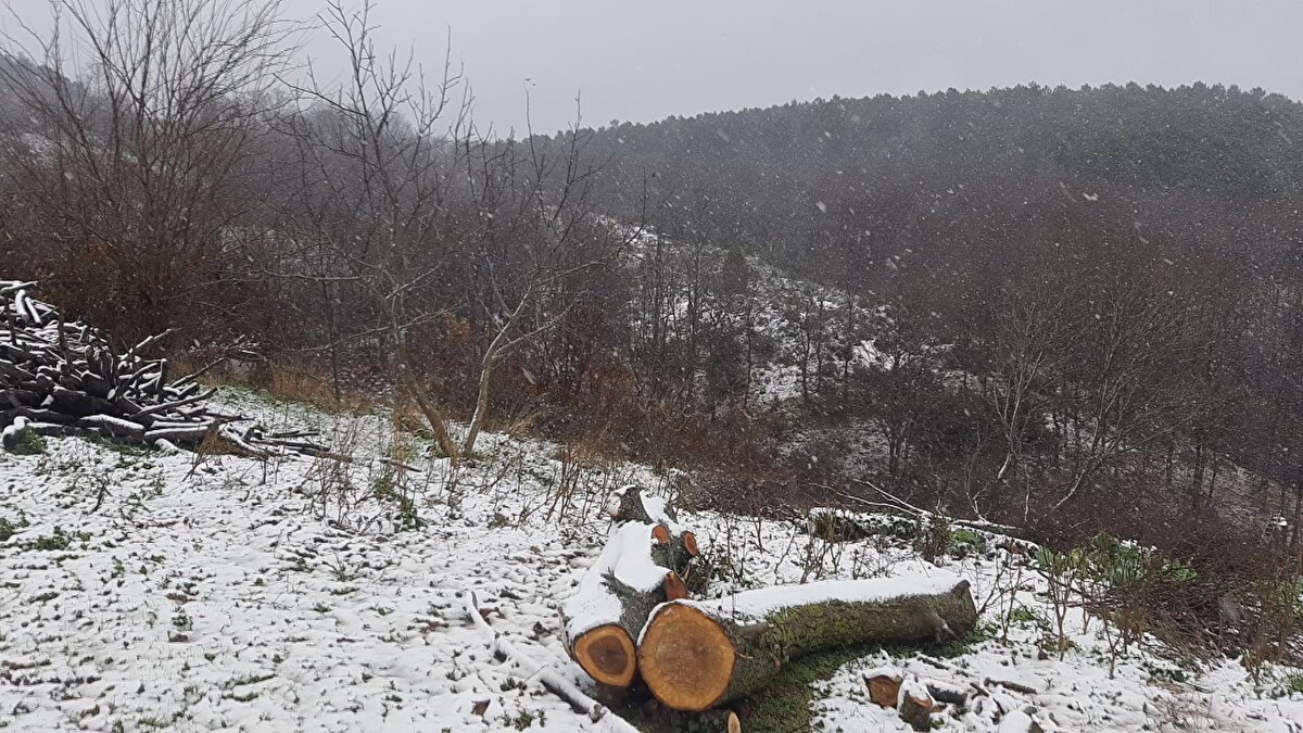 Meteorolojinin uyarılarının ardından İstanbul’a giriş yapan kar yağışı Çekmeköy, Pendik, Silivri, Kartal, Beylikdüzü, Çatalca ve Çamlıca'da etkili oluyor.<br><br>Silivri’de beklenen kar yağışı sabah saatlerinde başladı. Kar yağışı özellikle Danamandıra, Kadıköy, Çayırdere mahallelerinde etkili oldu.<br><br>Öte yandan kar yağışı Üsküdar'da Çamlıca Tepesi'nde etkisini gösterdi. Kar yağışının ilerleyen saatlerde etkisini arttırması bekleniyor.