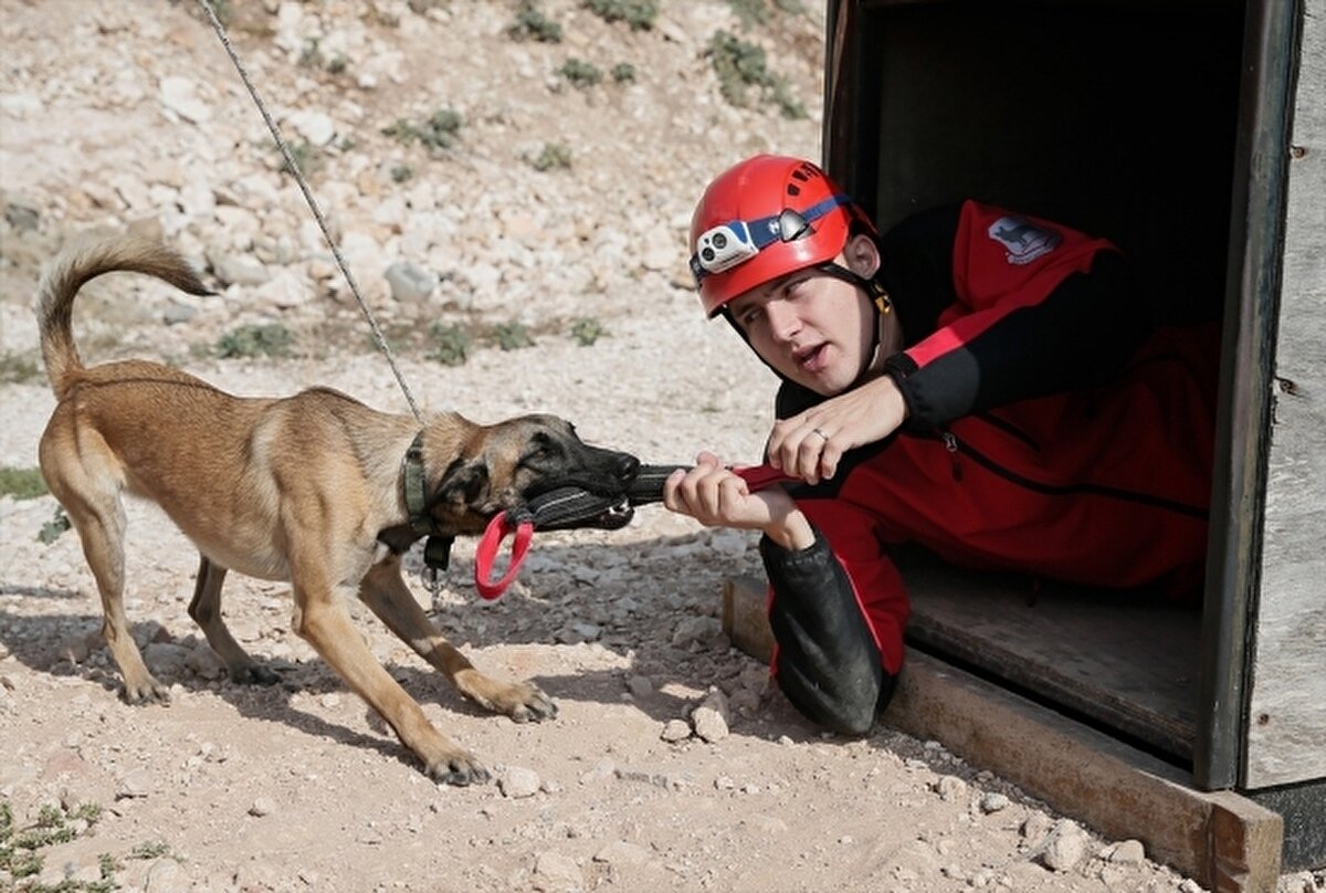 Bazı arama kurtarma köpekleri kar altında mahsur kalan insanları kurtarmak için özel olarak eğitiliyor.<br><br>Kar altındaki kurtarma çalışmalarında yer alan köpekler, karın 4,6m altındaki bir insanın kokusunu alabilecek potansiyele sahip.