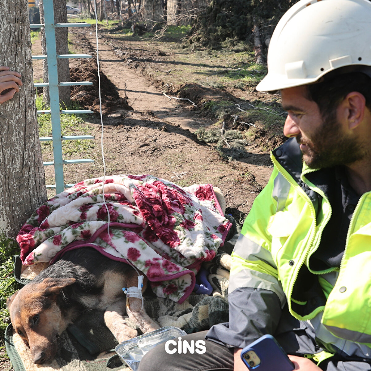 Olan biteni korku dolu gözlerle izleyen bu canlılar da yardıma muhtaç