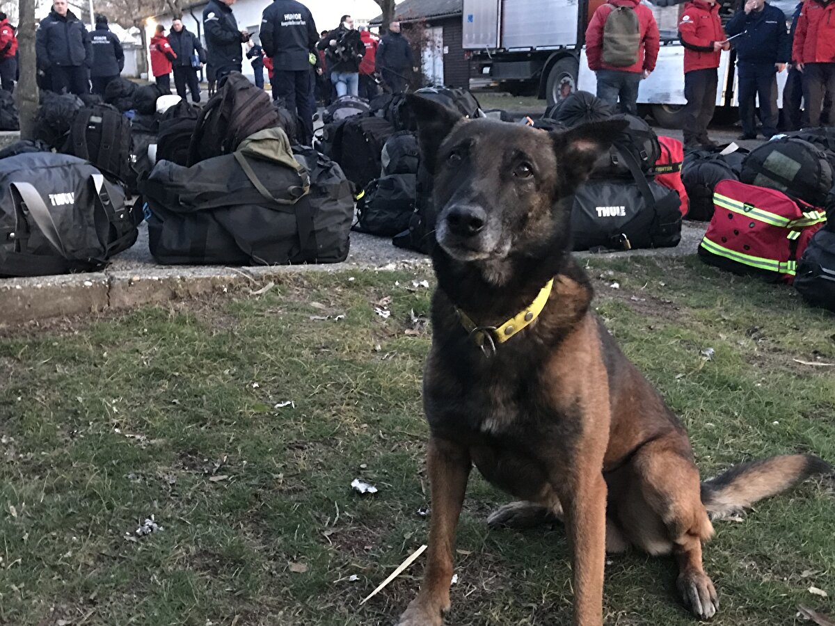 AB’nin ‘ek olarak’ insani yardım hazırlığında olduğu ayrıca belirtilerek şimdiye kadar gönderilen ekip ve insani yardımın yanı sıra Almanya, Litvanya ve Slovenya battaniye, çadır ve ısıtıcı sağlayacağı kaydedildi.   
