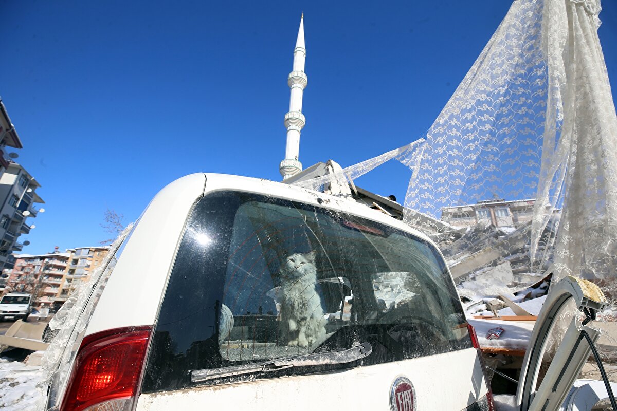 "Ayakta dururken yer sallanıyor zannediyoruz"<br><br>Muharrem Özdemir de ikinci depremin hasarından çok daha fazla etkilendiklerine dikkati çekerek şunları kaydetti:<br><br>"Dünyada belki yaşanmamış bir şeydi. İkinci deprem bizi çok etkiledi. Halen kendimizde değiliz, ayakta dururken yer sallanıyor zannediyoruz. Şimdi biz de birkaç eşya almak için evimize geldik, köye gidiyoruz. En azından kerpiç evlerde sıkıntı yoktur."<br>