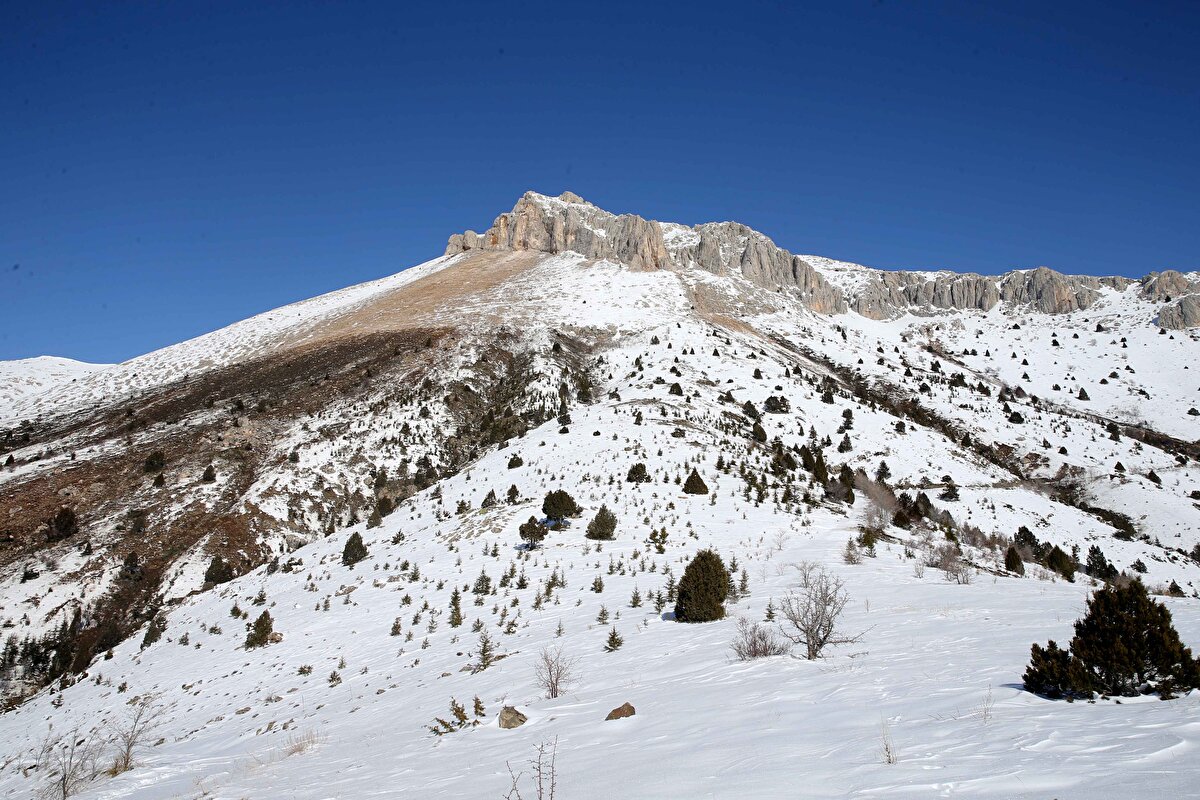 O kayaların üst kesimlerinde kireç taşları şev yapmışlar. Yani bir yüksek eğimli bir şey oluşturmuşlar. Tabii deprem sırasında da zaten oralarda küçük ölçekli böyle galeriler var, eski maden yatakları ve eski bir fay var orada. Bölgede çalışma yapmadan açıklama yapılmasını doğru bulmuyorum.<br><br>