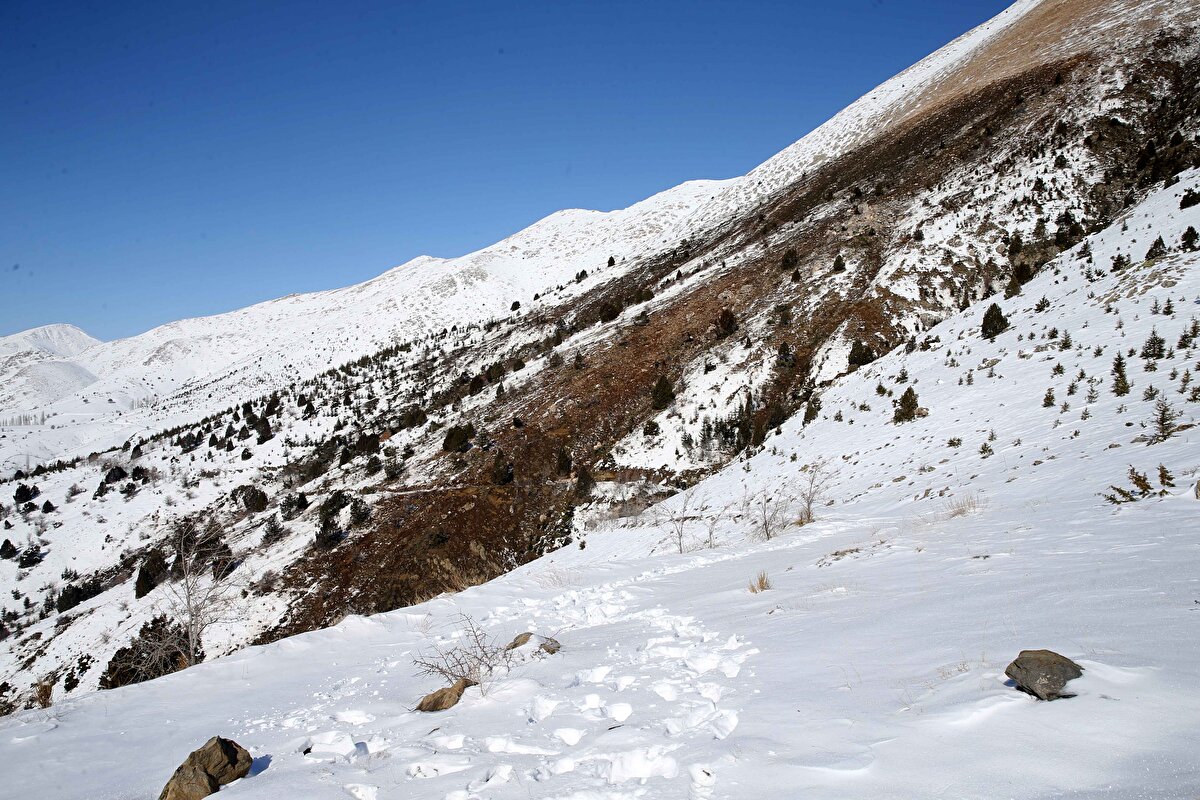 Ardından İzmir Dokuz Eylül Üniversitesi, Afyon Kocatepe Üniversitesi ve Eskişehir Osmangazi Üniversitesi ile AFAD'tan yetkililer belirtilen adrese yönlendirildi.<br><br>