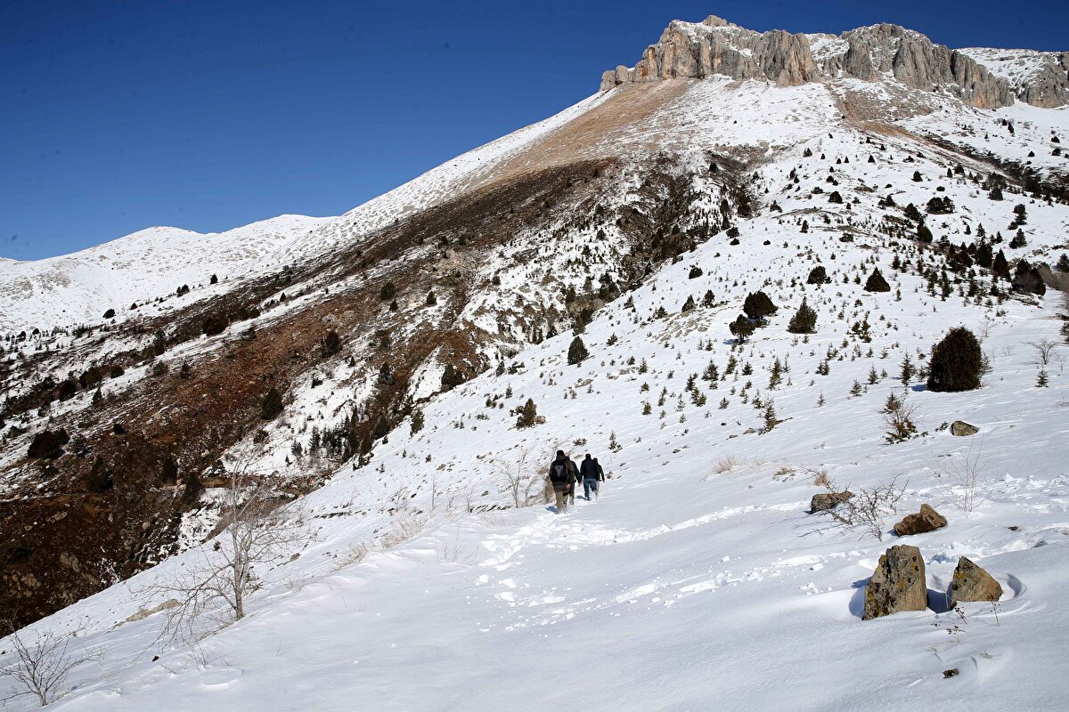 Bölgede çok yaşlı kayaların bulunduğunu ifade eden Sözbilir, şunları aktardı:<br><br>"Çok çok eski 500 milyondan yaşlı kayalar var. Aşağıda koyu, siyah renge yakın bir kaya var. Üstünde kireç taşı ya da mermer diyebileceğimiz kayalar var. Yani tortul kökenli, volkanizmayla uzaktan yakından ilgisi olmayan çok yaşlı kayalar var.