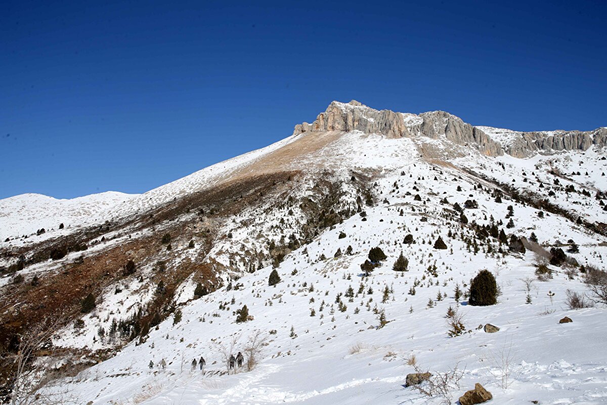 Büyükkızılcık Mahallesi Kuşkayası mevkisinde yaşayan vatandaşlar, 7,7 ve 7,6 büyüklüğündeki depremlerin ardından dağdan dumanlar yükseldiği yönünde yetkililere ihbarda bulundu.<br><br>