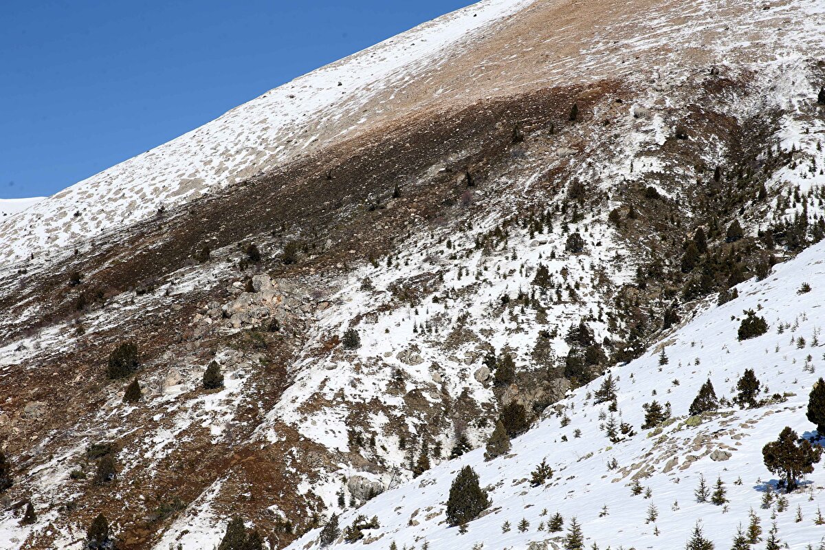 "ENDİŞELENDİK AMA..."<br><br>Mahalle sakinlerinden Orhan Gün, babasının karşı dağdan duman çıktığını söylemesi üzerine durumu yetkililere bildirdiğini kaydetti.