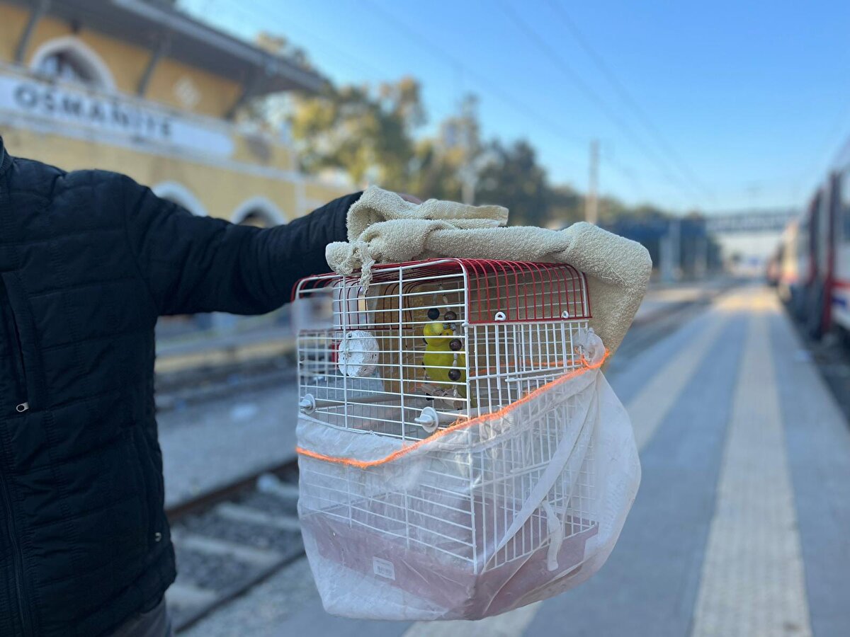 62 yaşındaki Adem Yüksel de deprem anında 'Paşa' ve 'Pamuk' adını verdiği iki muhabbet kuşlarını alarak dışarı kaçtı. Osmaniye Tren İstasyonu'nda misafir edilen Yüksel, kuşlarının sıcak ortamda bulunması için vagonda kaldığını belirtiyor.