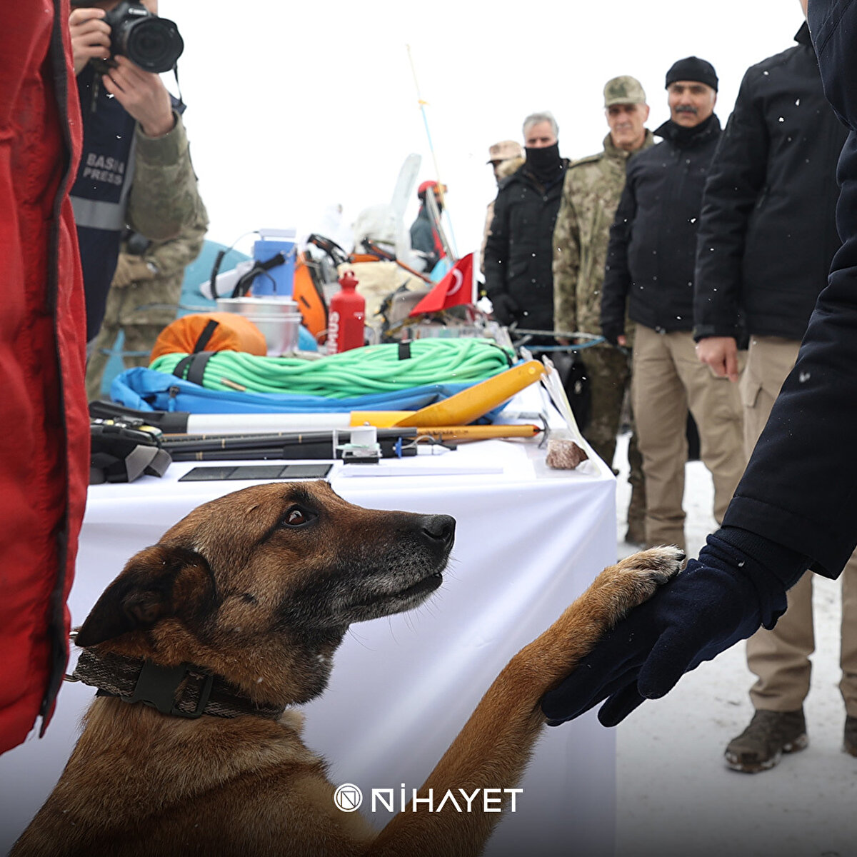 Arama kurtarma köpeği Sıla, Malatya'daki enkazlardan 12 kişinin kurtarılmasını sağladı