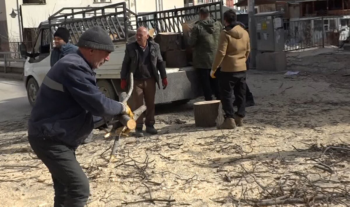 'SOBA BOYUNDA KESİP ARAÇLARA YÜKLÜYORUZ'<br>Ağaçları keserek soba boyunda odunlar haline getirdiklerini anlatan Necati Çakmakçı, "Burada bulunan bütün ağaçlarımız sular altında kalacak. Bizlerde gece gündüz çalışarak ilçe merkezinde ve köylerdeki ağaçları yöre halkı olarak odun yapıp, depremzedelere göndermeye karar verdik. Kardeşlerimiz soğukta üşümesin. Soba boyunda kesip, araçlara yüklüyoruz. Allah, hepimizin yardımcısı olsun. Zor bir süreçten geçiyoruz. Hep birlikte bu günleri de aşacağız inşallah. Elimizden bu geliyor, keşke başka şeyler de gelebilse" diye konuştu.