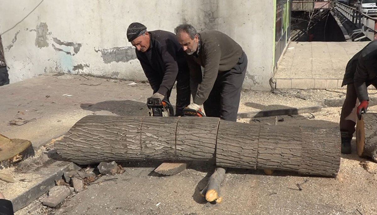 Kahramanmaraş merkezli depremler nedeniyle üzgün olduğunu dile getiren Ali Güzel ise "Onca ilimizde deprem oldu. Çok kişiyi kaybettik. Bizler de hayatta kalanlarız. O noktaya yardıma gidenler için 'Üşümesinler' diyerek elimizden geleni yapıyoruz. Ağaçlarımız sular altında kalacaktı. Kesiyoruz, kamyonlara yüklüyoruz. Onlar, bizim kardeşimiz. Her daim yanlarındayız" dedi. 