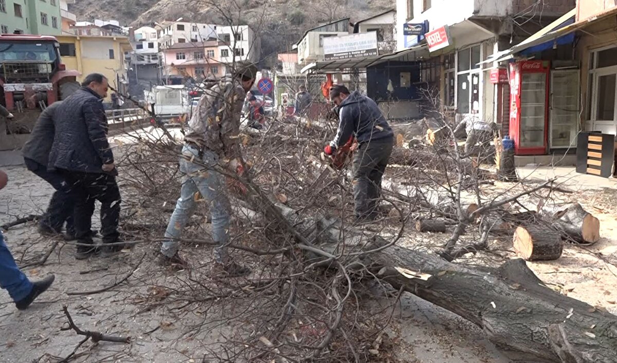 Yeni inşa edilen yerleşim alanına taşınma sürecindeki Yusufeli ilçesinde halk, anılarla birlikte suya gömülecek ağaçları kesip, depremzedelerin ısınma ihtiyacı için oduna dönüştürdü. El ele verilerek çuvallanan odunlar, TIR'larla deprem bölgelerine ulaştırıldı.